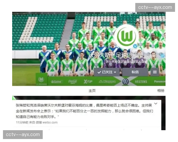 赛前动态：霍芬海姆三名主力球员感染流感，出战成疑